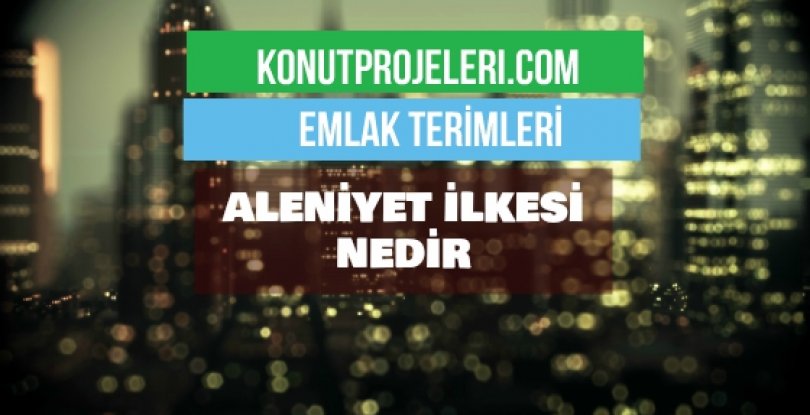 ALENİYET İLKESİ NEDİR?