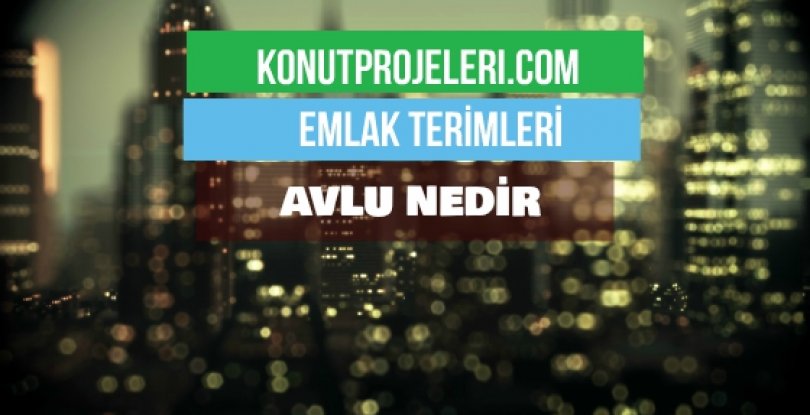 AVLU NEDİR?