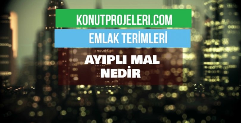 AYIPLI MAL NEDİR?