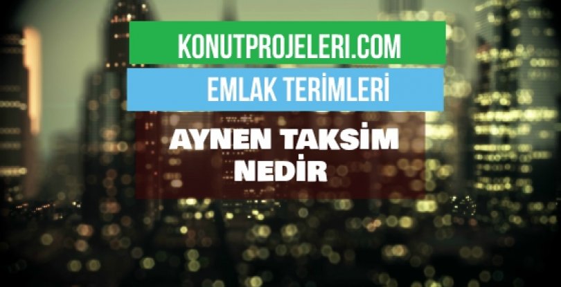 AYNEN TAKSİM NEDİR?