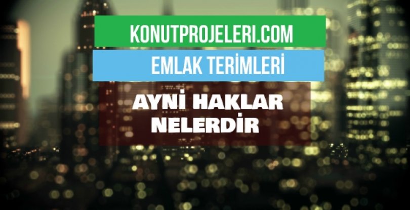 AYNİ HAKLAR NELERDİR?