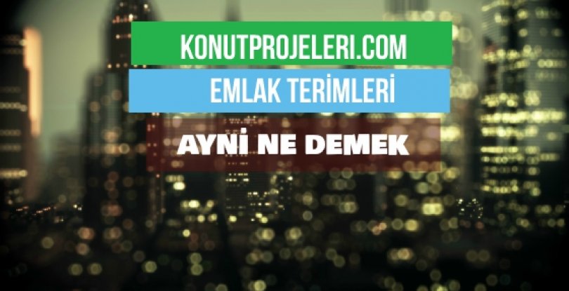 AYNİ NE DEMEK?