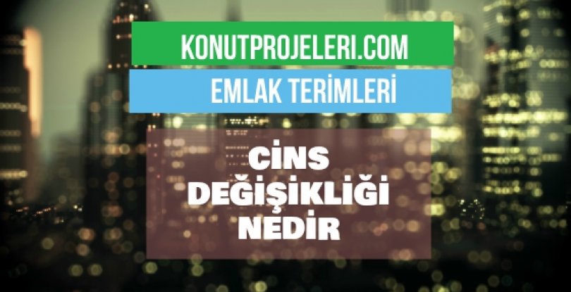 CİNS DEĞİŞİKLİĞİ NEDİR?