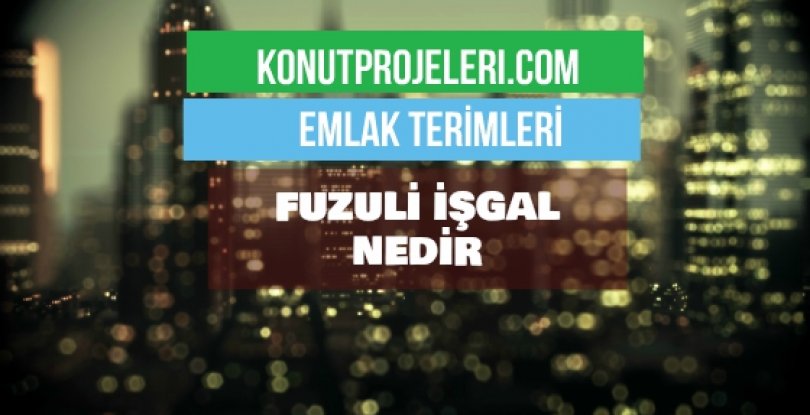 FUZULİ İŞGAL NEDİR?