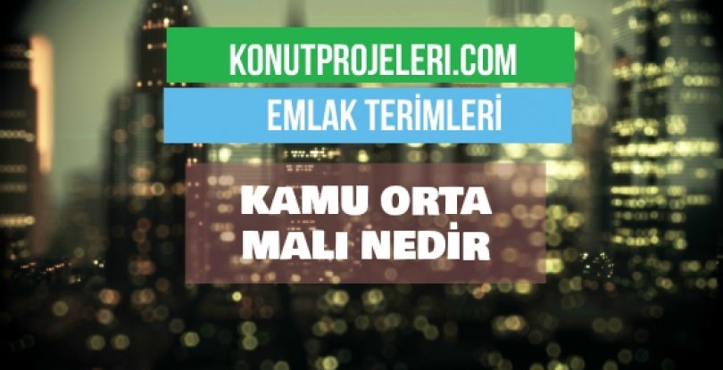 KAMU ORTA MALI NEDİR?