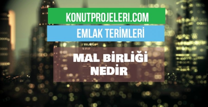 MAL BİRLİĞİ NEDİR?