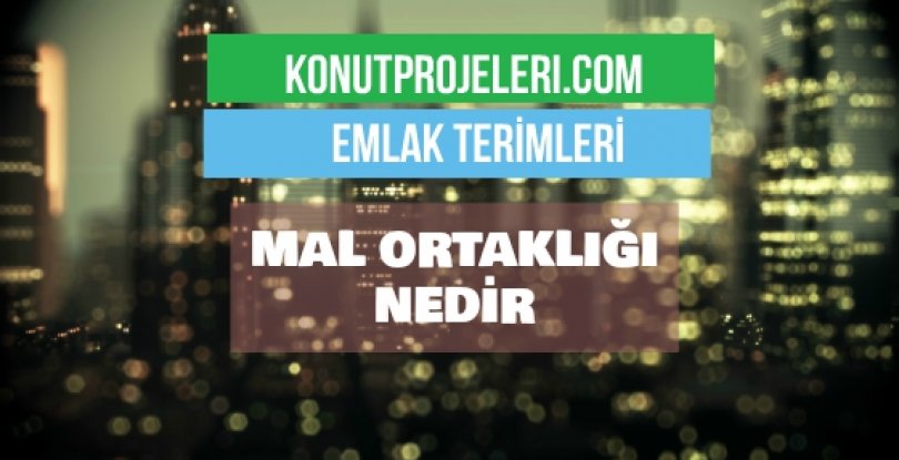 MAL ORTAKLIĞI NEDİR?