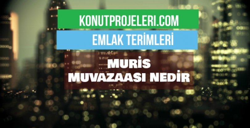 MURİS MUVAZAASI NEDİR?