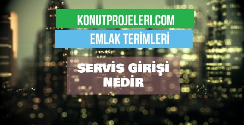 SERVİS GİRİŞİ NEDİR