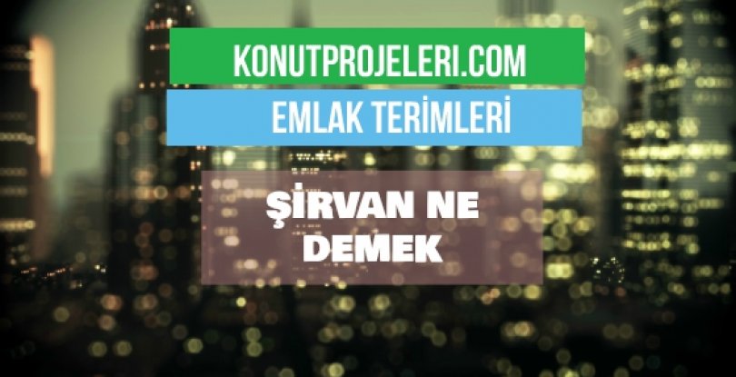 ŞİRVAN NE DEMEK