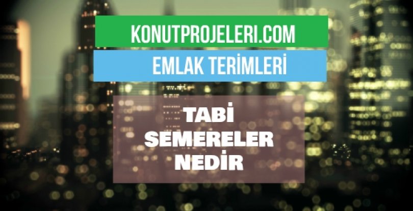 TABİ SEMERELER NEDİR