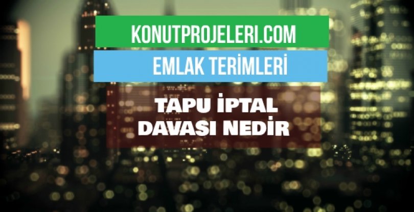 TAPU İPTAL DAVASI NEDİR?