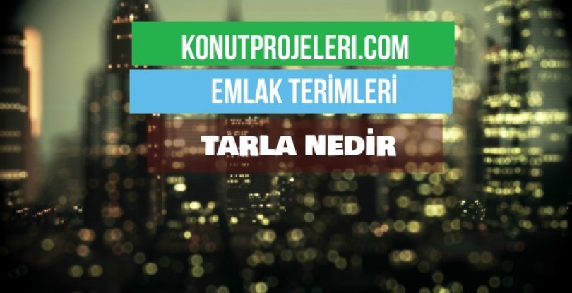 TARLA NEDİR?