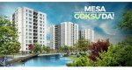 Mesa Göksu